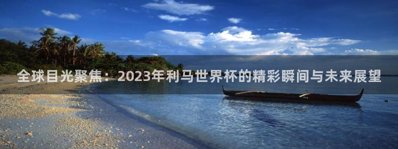 世界杯亚洲区预选赛：全球目光聚焦：2023年利马世界杯的精彩瞬间与未来展望