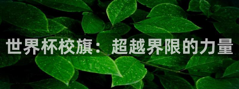 今天所有足球赛程表：世界杯校旗：超越界限的力量