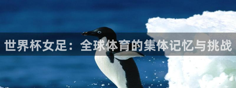 2026世界杯小组赛赛程时间表：世界杯女足：全球体育的集体记忆与挑战