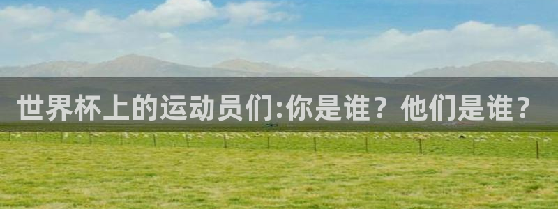 世界杯直播免费观看：世界杯上的运动员们:你是谁？他们是谁？