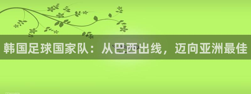 世界杯2026预选赛：韩国足球国家队：从巴西出线，迈向亚洲最佳
