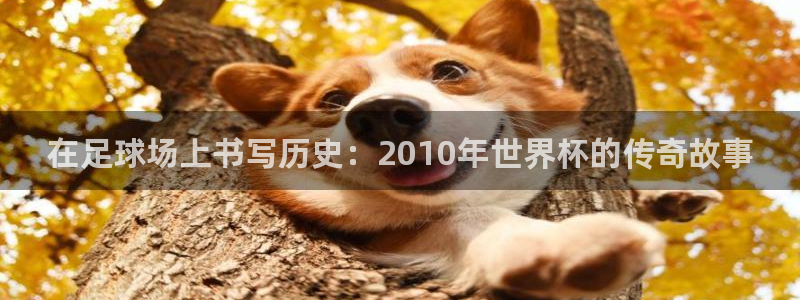 世界杯官网入口：在足球场上书写历史：2010年世界杯的传奇故事