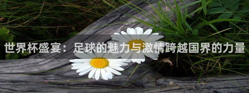 世界杯预选赛直播：世界杯盛宴：足球的魅力与激情跨越国界的力量