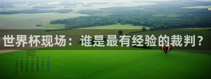 世界杯系列赛：世界杯现场：谁是最有经验的裁判？