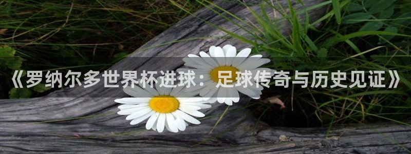 2026足球世界杯赛程：《罗纳尔多世界杯进球：足球传奇与历史见证》