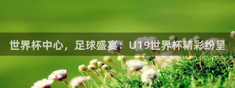 世界杯足球直播：世界杯中心，足球盛宴：U19世界杯精彩纷呈