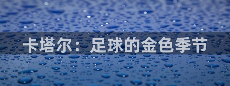 女足世界杯直播在线观看免费高清：卡塔尔：足球的金色季节