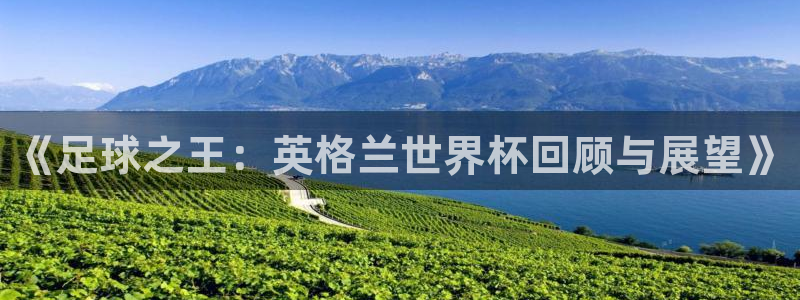 世界杯欧洲预选赛赛程：《足球之王：英格兰世界杯回顾与展望》