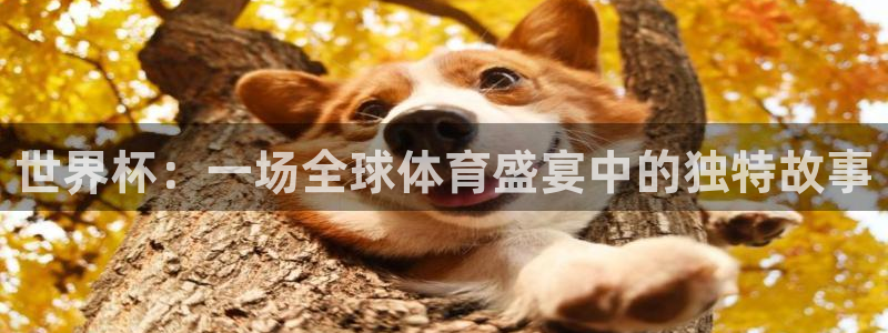 世界杯预选赛排名：世界杯：一场全球体育盛宴中的独特故事
