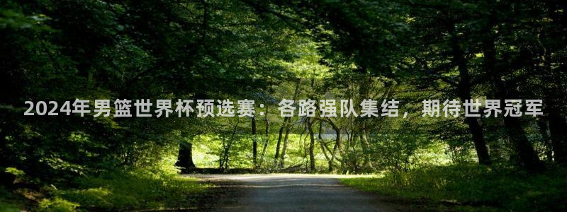 世界杯球队：2024年男篮世界杯预选赛：各路强队集结，期待世界冠军