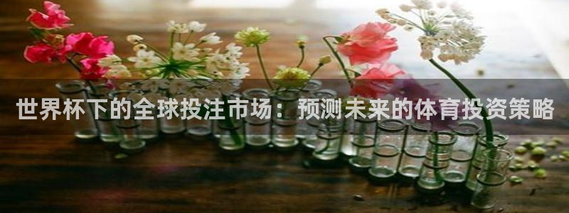26世界杯：世界杯下的全球投注市场：预测未来的体育投资策略