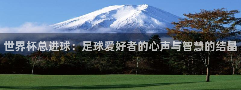 2026世预赛赛程：世界杯总进球：足球爱好者的心声与智慧的结晶