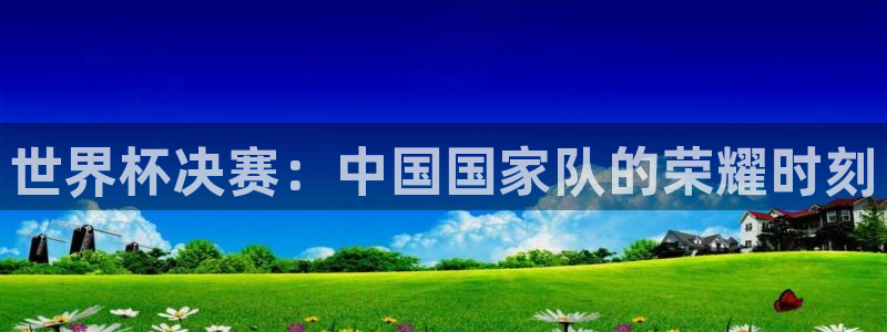 世界杯预选赛赛程表：世界杯决赛：中国国家队的荣耀时刻