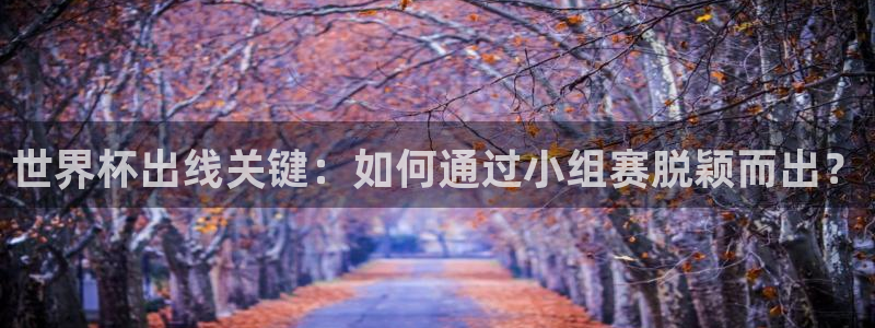 免费足球比赛直播高清：世界杯出线关键：如何通过小组赛脱颖而出？